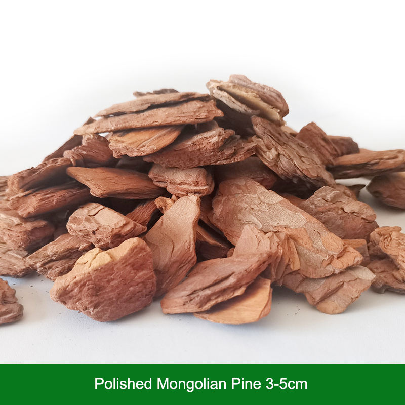 Pin mongol poli 3-5cm