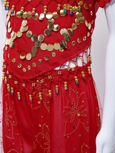 Tenues de danse du ventre pour filles de 2 à 12 ans, haut court et pantalon bouffant, pour fêtes à thème, compétitions, spectacles sur scène, fabricant de costumes - Product Image 5