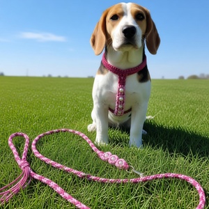 Conjunto de arnés y correa impermeable de PVC tweed para perros grandes y gatos, <span class=keywords><strong>paracord</strong></span> personalizado, conjunto de correa táctica de lujo para cachorros y mascotas - Product Image 1