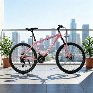 Fabricante Mayorista de China, Bicicleta de Montaña <span class=keywords><strong>GREENSKY</strong></span> GS-10 2026, Bicicleta Personalizada - Product Image 5