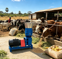 Machine à granulés d'aliments pour animaux SINCH, fiable et haute durabilité, capacité 500 kg/h, pour ferme avicole, fabrication d'aliments pour animaux à base d'alfalfa et de céréales