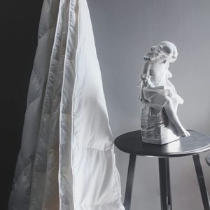 Chăn Lông Vịt Ngỗng Cao Cấp Chăn Lông Vịt 100% Cotton Mềm Mại Tất Cả Các Mùa - Product Image 6