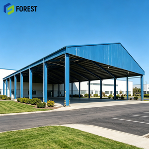 Centre de stockage logistique à structure en acier à poutres en H robustes, conçu sur mesure, à façade ouverte et sans colonnes, pour le stationnement de véhicules - Product Image 1