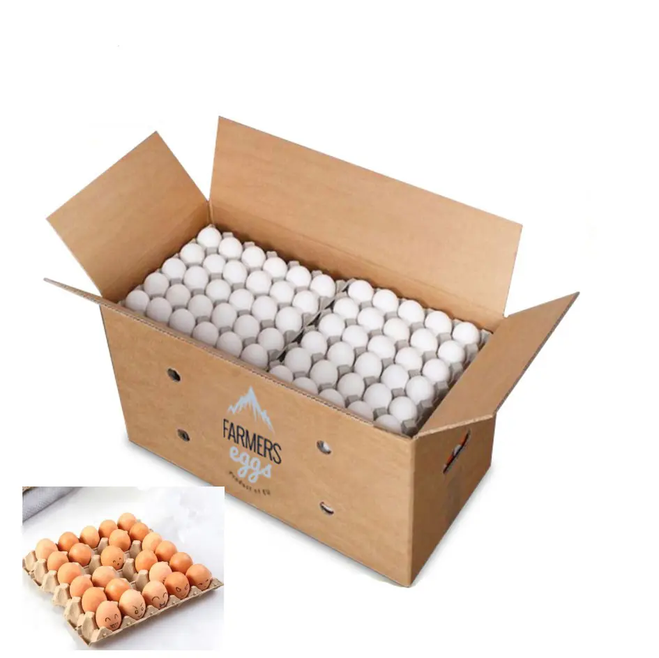 Fabrika sıcak satış güçlü 5 katmanlı oluklu kağıt tutabilir 360 adet yumurta karton kutu