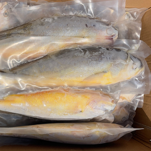Bán Buôn Đông Lạnh Vàng Croaker Cá Xuất Khẩu Cấp Đông Lạnh Sản Phẩm Hải Sản Tươi Và Hương vị Cá Cho Toàn Cầu Phân Phối - Product Image 6