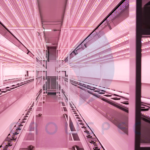 Growspec trong nhà dọc hệ thống canh tác | thủy canh phát triển kệ với LED phát triển đèn - Product Image 6