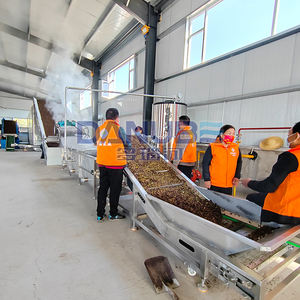 Sécheur à bande maillée pour tranches de concombre, fonctionnement continu 24h/24, ligne de production de concombre - Product Image 5