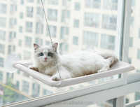 Hamac pour animaux de compagnie à ventouse pour fenêtre, lit surélevé pour chat universel toutes saisons, pliable, perchoir pour chat pour fenêtre intérieure