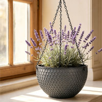 Pot suspendu traditionnel à double compartiment, auto-arrosant, avec trous de drainage, 2,56 L, en PP durable, pour la décoration de balcon