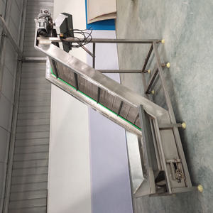 Food Grade Z Type Band Transportband Hellende Emmer Product Klimhefmachine Apparatuur - Product Image 2