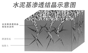 Modern Polymer <b>Cement</b> Waterproof <b>Roof</b> Coating with Eco-Friendly Durable Formula for Leakage Prevention - Product Image 4