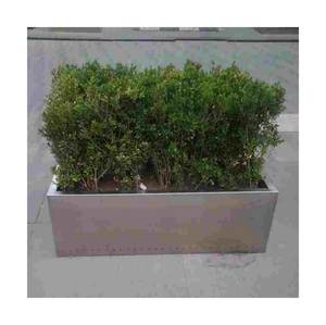 Pot de fleurs rectangulaire pour pot de fleurs, support en acier inoxydable brossé, offre spéciale - Product Image 1