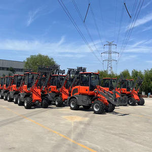 CE EVERUN kualitas tinggi ER11HT merek baru Wheel <span class=keywords><strong>Loader</strong></span> Harga roda Mini hidrostatik teleskopik - Product Image 6