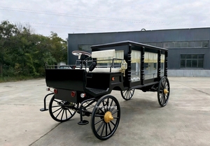 Charrette à <span class=keywords><strong>Chevaux</strong></span> Moderne - Design de Pointe pour les Commémorations - Product Image 1