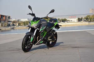 Motocicleta SINSKI Direct Street Legal de 250cc, Supermoto, Motocicleta a Gasolina, Motor de Motocicleta de 250cc - Product Image 3