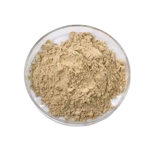 <span class=keywords><strong>Complément</strong></span> <span class=keywords><strong>alimentaire</strong></span> en poudre hydrolysée de protéines de riz HONGDA 80% - Product Image 1