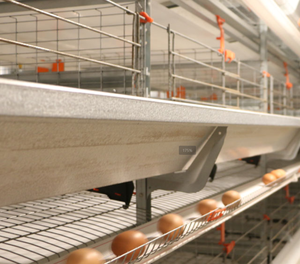 Kolay yumurta koleksiyonu için Bangchi h-tipi pil kafesi düşük bakım uzun ömürlü verimli hayvan bakımı için yeni 1 yıl garanti - Product Image 1