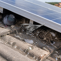 Filet anti-oiseaux robuste pour panneaux solaires, en fil d'acier galvanisé, rouleau de 8 pouces de large, protection contre les nuisibles pour centrales photovoltaïques commerciales