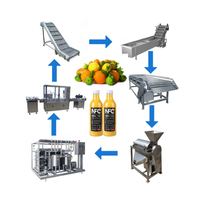 Automatische sinaasappelsap drankenproductiemachine vul- en afsluitlijn voor citrusvruchtenverwerking