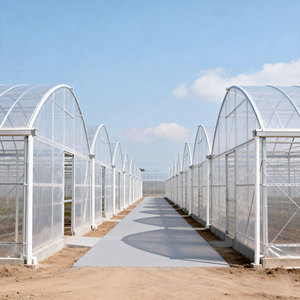 دفيئة زراعية تجارية كبيرة متعددة الامتدادات بطبقة واحدة من غشاء البولي إيثيلين، ذات هيكل ثابت وتكلفة منخفضة وعائد إنتاج مرتفع - Product Image 2