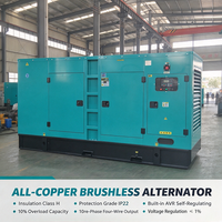 Générateur diesel silencieux 250 kW 312,5 kVA, moteur Ricardo P618ZLD, triphasé, refroidissement par eau, groupe électrogène avec ATS pour alimentation industrielle CE