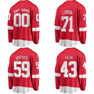 Custom Ice Hockey Jersey Detroit City Stitched Men's Red Wing Team Uniform #71 Dylan Larkin 59 Tyler Bertuzzi Wholesale
