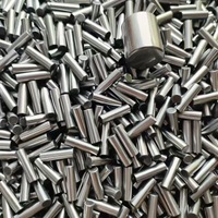 Pasador de Posicionamiento de Precisión de Acero Inoxidable, Eje de Pasador Torneado por CNC, Tamaño Personalizado para Moldes, Maquinaria Automotriz