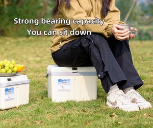 Tùy chỉnh xách tay PP nhựa dã ngoại cắm trại ngoài trời nhiệt hộp mát hiện đại hiển thị nhiệt độ 5L 8L 13L 30L cho rượu vang lưu trữ - Product Image 6