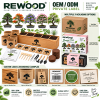 Kit de culture de bonsaï en gros avec boîte de plantation en bois, 5 variétés de graines, ensemble cadeau DIY, OEM ODM, marque privée
