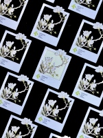 Papier de scrapbooking vintage artisanal, collection naturelle Kawaii pour journal créatif, matériel DIY en feuilles détachées, style bloc-notes