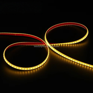 Tira de Luces LED para Exteriores de 24v 3000K 4000K 6000K IP67 Impermeable, 120leds/m 2835led, Venta al por Mayor - Product Image 3