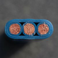 Wasserdichtes IP68 PVC Blaues Flachkabel 3-adrig Reiner Rotkupferleiter Tauchpumpen-Tiefbrunnenkabel Anpassbare Größe
