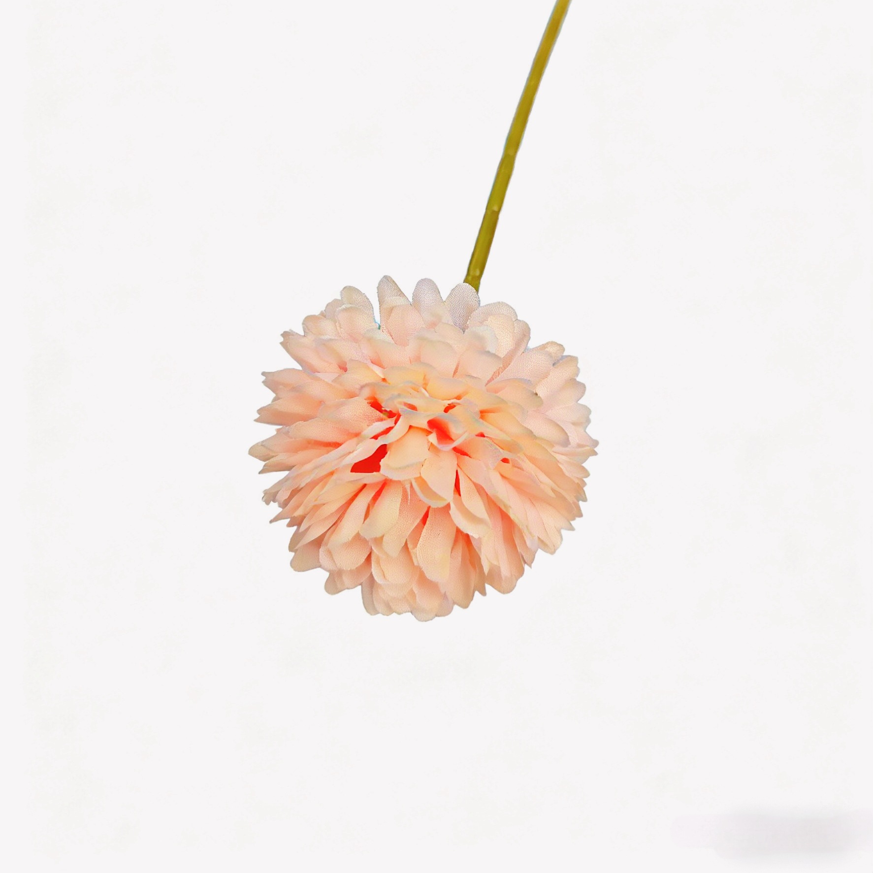 Rose clair-tige unique