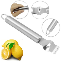 Hot Selling Fruit Aardappel Citrus Gereedschap Handmatige Roestvrijstalen Citroenrasp Zester