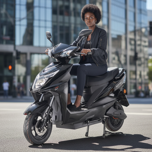 Bicicleta Eléctrica de 1000W al por Mayor, Alta Velocidad, Frenos de Disco Delanteros y Traseros, la Más Vendida para Reventa - Product Image 1