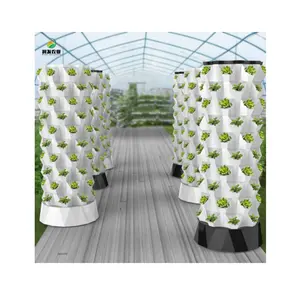 Ananas Aeroponic Tower Smart Hydro ponic Anbaus ystem für den Hausgarten Hydro ponic Farming Vertical Garden