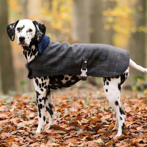 Jas Hujan Hewan Piaraan, Pakaian Anjing Besar, Mantel Hujan dengan Hoodie Reflektif Bergaris, Warna Kuning, Dapat Disesuaikan - Product Image 5