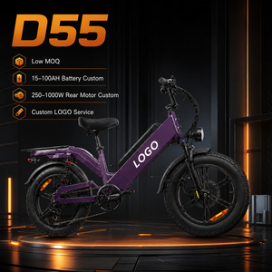 Bicicleta Eléctrica de Carga D55 con Cuadro de Aleación de Aluminio, Bicicleta Eléctrica de Reparto, Batería Personalizada OEM, Venta al por Mayor de Fábrica para Compradores de Flotas - Product Image 1