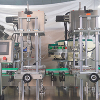 Ligne de remplissage de shampoing entièrement automatique en acier inoxydable 304, 16 têtes de remplissage servo-contrôlées, 12 têtes de bouchage à engrenages, complète