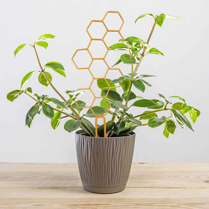 Treillis circulaire en plastique pour plantes grimpantes d'intérieur et d'extérieur, aide à façonner vos plantes - Product Image 2