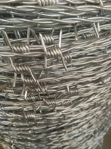 फैक्टरी बिक्री गर्म डूबा जस्ती कंटिया तार खेत की बाड़ जाल रोल 10 गेज 12 14 गेज 100 मीटर 500M 25kg 50kg कांटेदार तार - Product Image 4