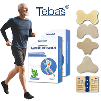 Échantillon Gratuit : Patchs Anti-Douleur à Base de Plantes, Fabrication sur Mesure, Emballage Personnalisé, Pansements à l'Armoise pour Soins Corporels