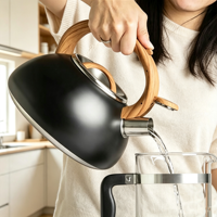 Meilleure vente : Bouilloire sifflante en acier inoxydable pour le thé, compatible cuisinière