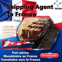 Agente de envío Francia Flete marítimo Puerto de Marsella Fos Flete Exportación Servicio de envío internacional Servicios de almacén