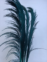 Vente en gros grande fleur d'herbe de pampa séchée Belle décoration de maison de fête de mariage de style frais sans perte de plumes