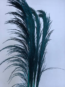 Vente en gros grande fleur d'herbe de pampa séchée Belle décoration de maison de fête de mariage de style frais sans perte de plumes - Product Image 5