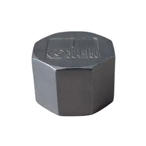 304L or 316L Stainless Steel Pipe Fittings Female Hexagon Cap