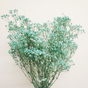 Vente en gros de fleurs préservées éternelles Babysbreath/Gypsophila 120 g/pack de qualité A pour la décoration intérieure et le bricolage - Product Image 5