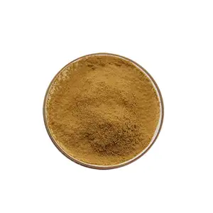 Factory supply best price Ginkgo Leaf Extract powder capsules 5% ginkgolic acid