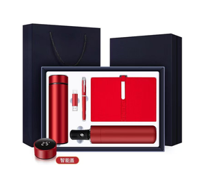 2025 Edition Gift New Idea: Customized Logo Business Creativity - Pen, Umbrella, Notebook, Thermal Cup, USB Drive Set